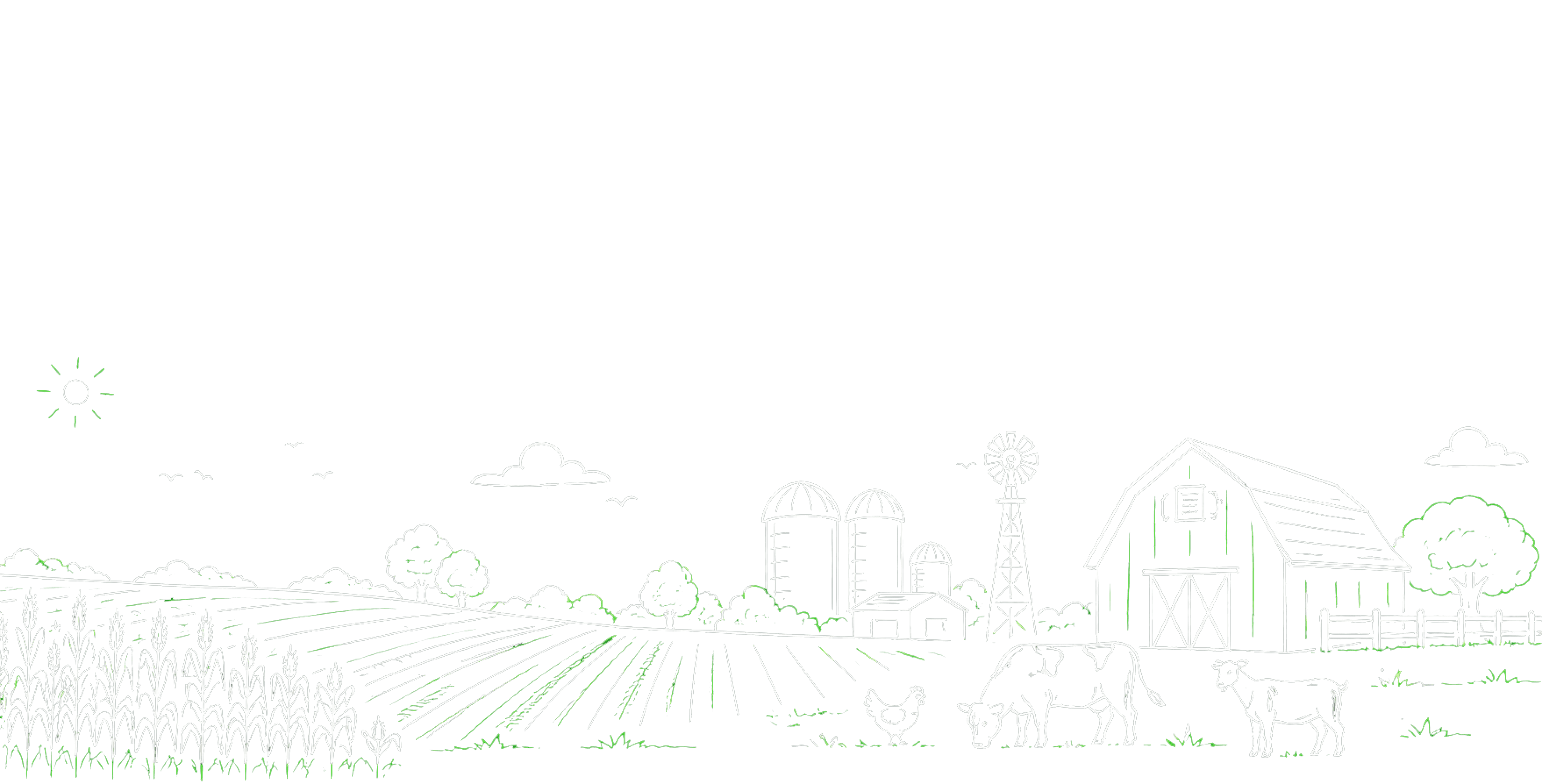 Hero background